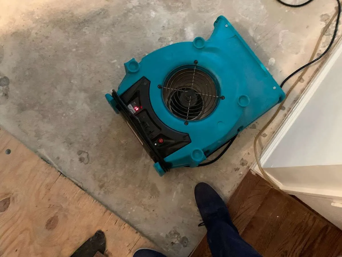 Air mover drying subfloor during Leak Detection & Repair in Mount Morris